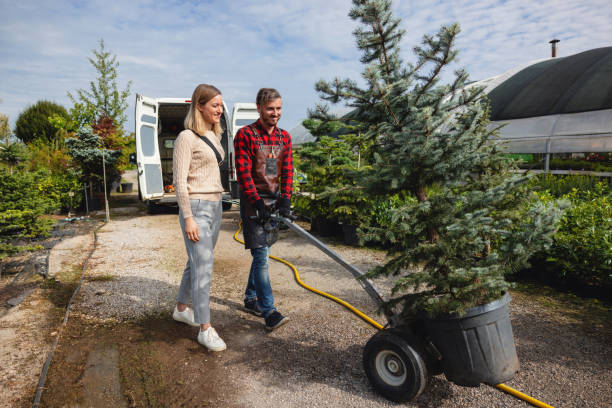 Best Tree Trimming Near Me  in Newtown, PA